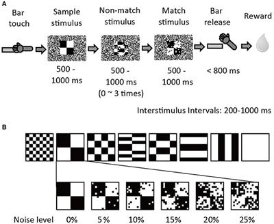 Information Accumulation over Time in Monkey Inferior Temporal <mark class="highlighted">Cortex Neurons</mark> Explains Pattern Recognition Reaction Time under Visual Noise